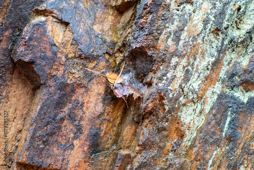 Rock formation texture