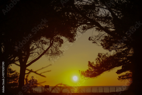 sunset in the forest beach