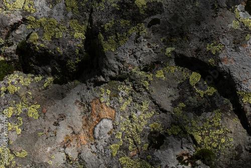 Lichen covered boulder still life