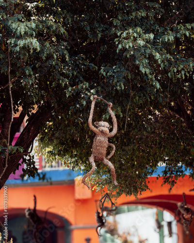 monkey 