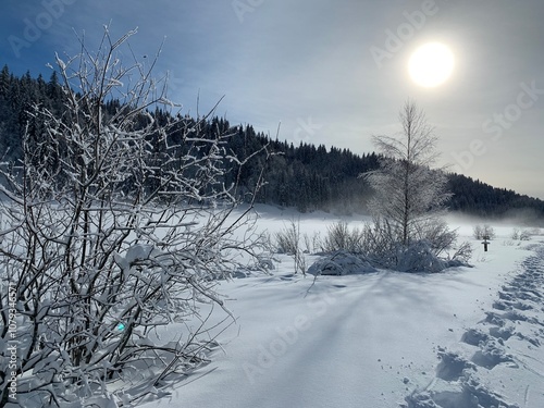 Journée d’hiver quand la neige recouvre un lac gelé