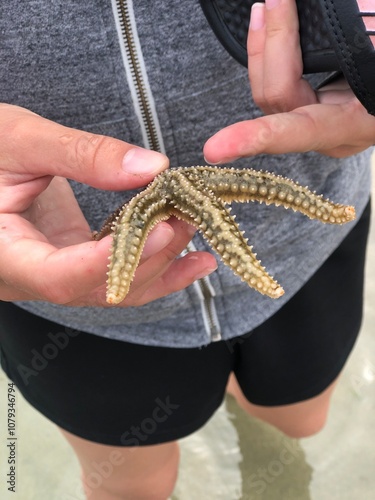 Regarde cette étoile de mer