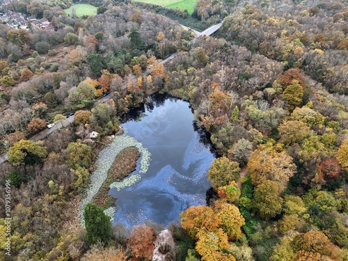 Lake Wood, Uckfield, East Sussex