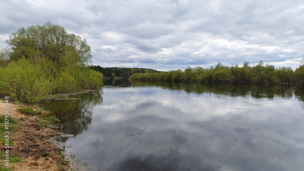 Fototapeta premium In early spring, the water in the river is high and muddy. The fast current floods the banks and the floodplain. The water reflects the sky with clouds, bushes and trees with young foliage