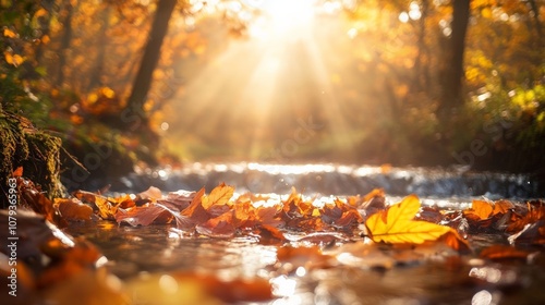 Golden Autumn Light Shines Over a Calm Stream with Fallen Leaves Glimmering in the Water