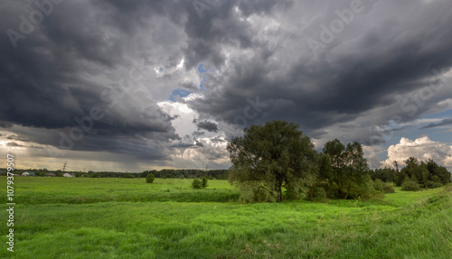 Fototapeta Naklejka Na Ścianę i Meble -  A field of grass with a tree in the middle and a cloudy sky above