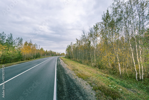 A road with trees on the side and a cloudy sky