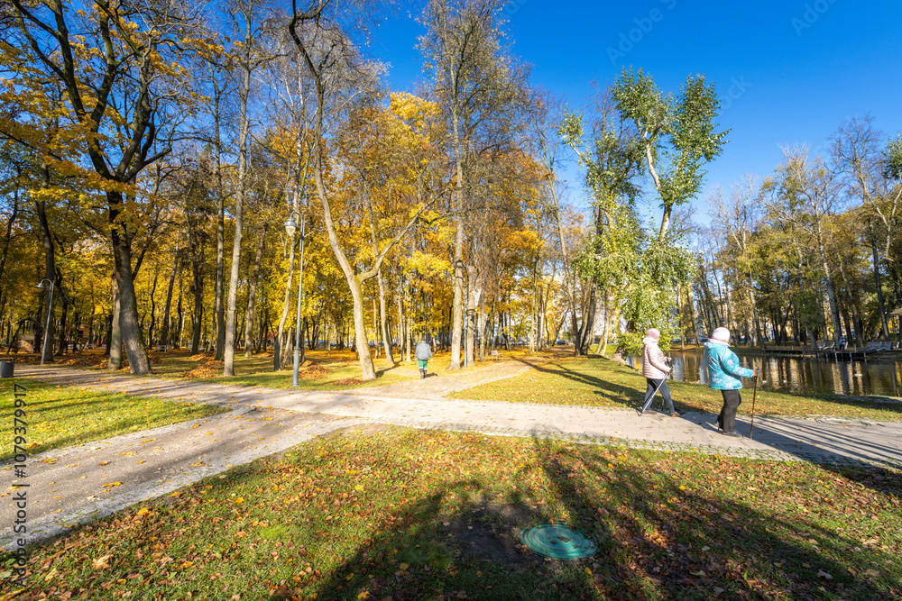 Obraz premium A park with a path that splits into two