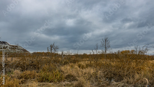 Fotografie A field of dry grass and trees with a cloudy sky in the background