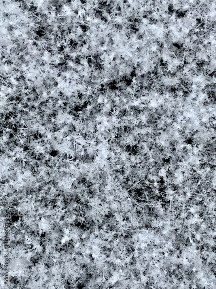 Fototapeta premium snow on the window