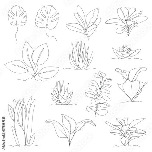 Single line plants illustration. One continuous line illustration