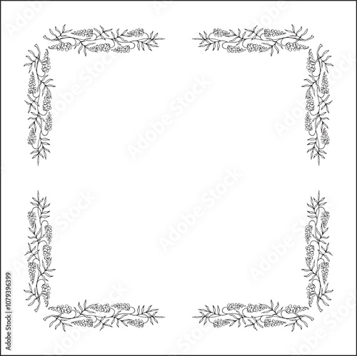 Decorative frame, vegetal ornamental frame with glycine flowers, decorative border, corners for greeting cards, banners, business cards, invitations. Isolated vector illustration.	
