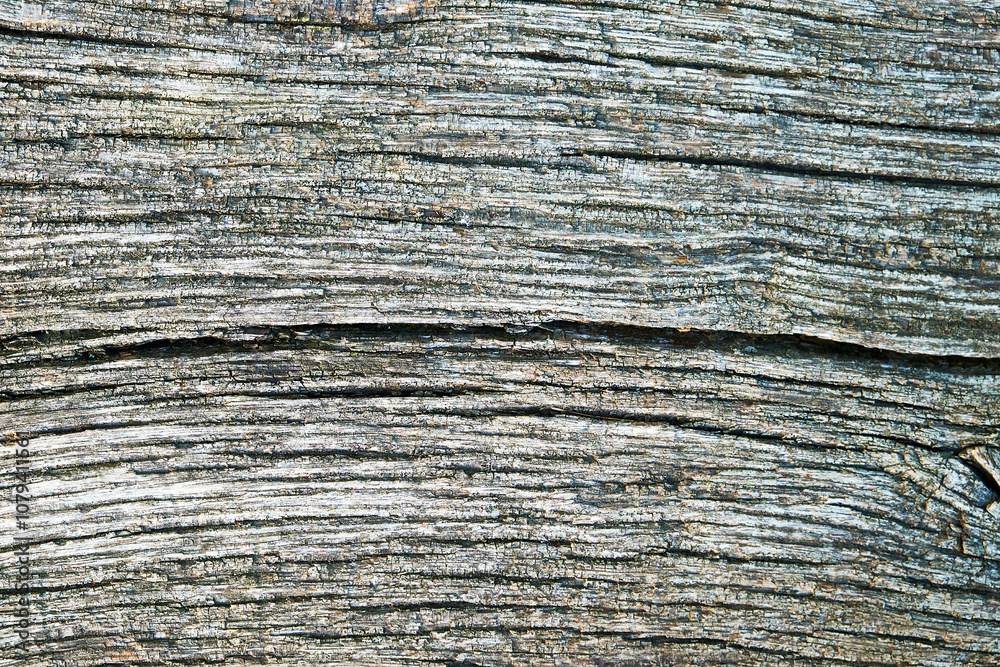 A close-up of aged, weathered wood with visible texture. A close-up of aged, weathered wood with visible texture.