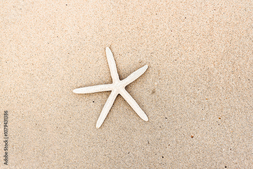 Starfish washes up on the shore on a tropical beach