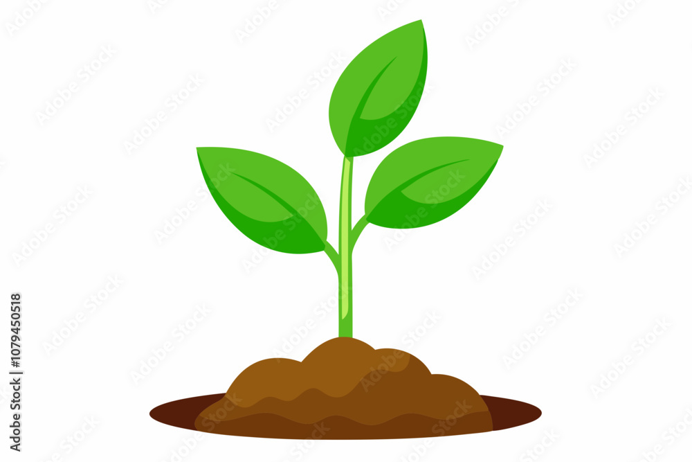Newborn plant with soil isolated on white backgrou vector illustration Newborn plant with soil isolated on white backgrou vector illustration