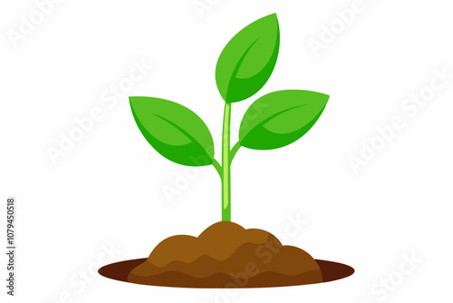 Newborn plant with soil isolated on white backgrou vector illustration photo