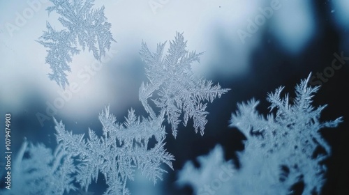 Intricate snowflakes visible on a frosted window pane