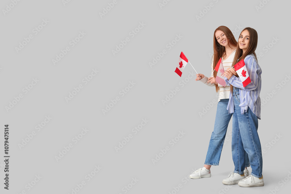 Female students with flags of Canada on grey background Female students with flags of Canada on grey background