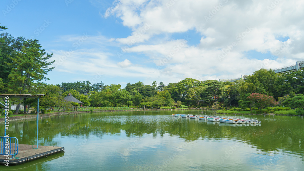 日本の公園【千葉県千葉市】千葉公園・綿打池 日本の公園【千葉県千葉市】千葉公園・綿打池