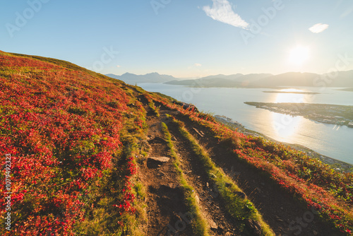 Favorite Trail In The Arctic photo