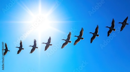 A formation of birds flying against a bright sun and blue sky. photo