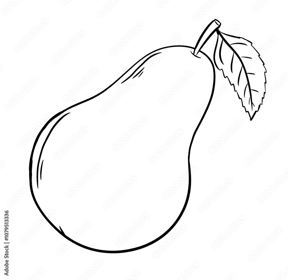 pear digital drawing illustration isolated pear digital drawing illustration isolated