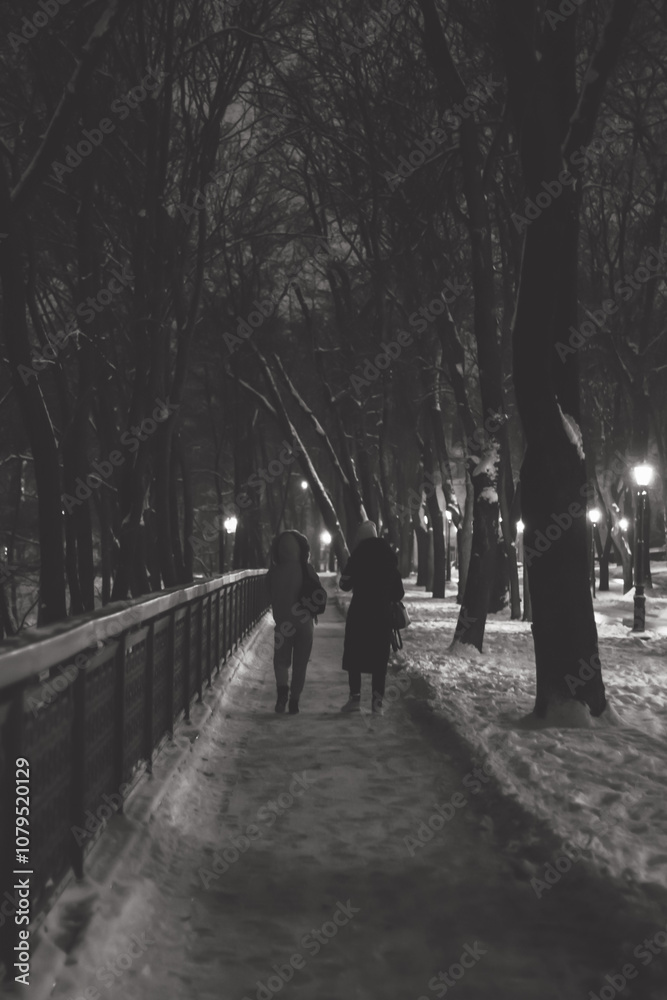 Two people in winter clothing walk along a snowy, dimly lit park path lined with bare trees and glowing street lamps, in a calm and serene black-and-white winter scene.
Two people in winter clothing walk along a snowy, dimly lit park path lined with bare trees and glowing street lamps, in a calm and serene black-and-white winter scene.