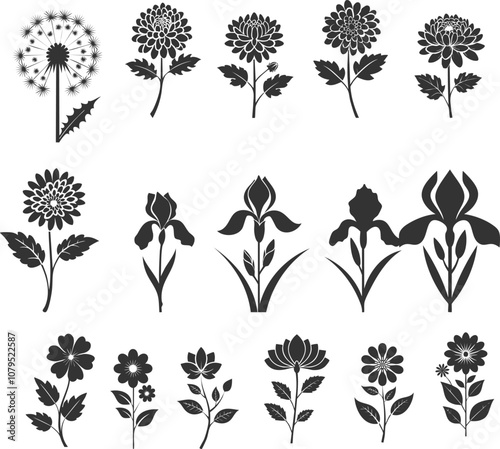 black flower silhouettes of dandelion, chrysanthemum, iris, wild flower simple vector icon with branch and leaves isolated from background