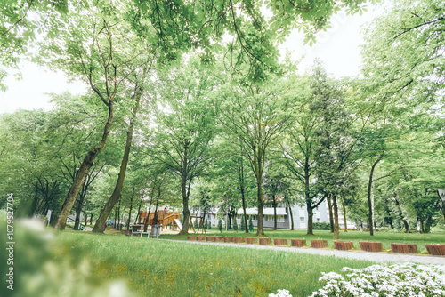 
A park in the middle of the city, green areas in a housing estate, a green housing estate, greenery in the city, a park, a forest photo