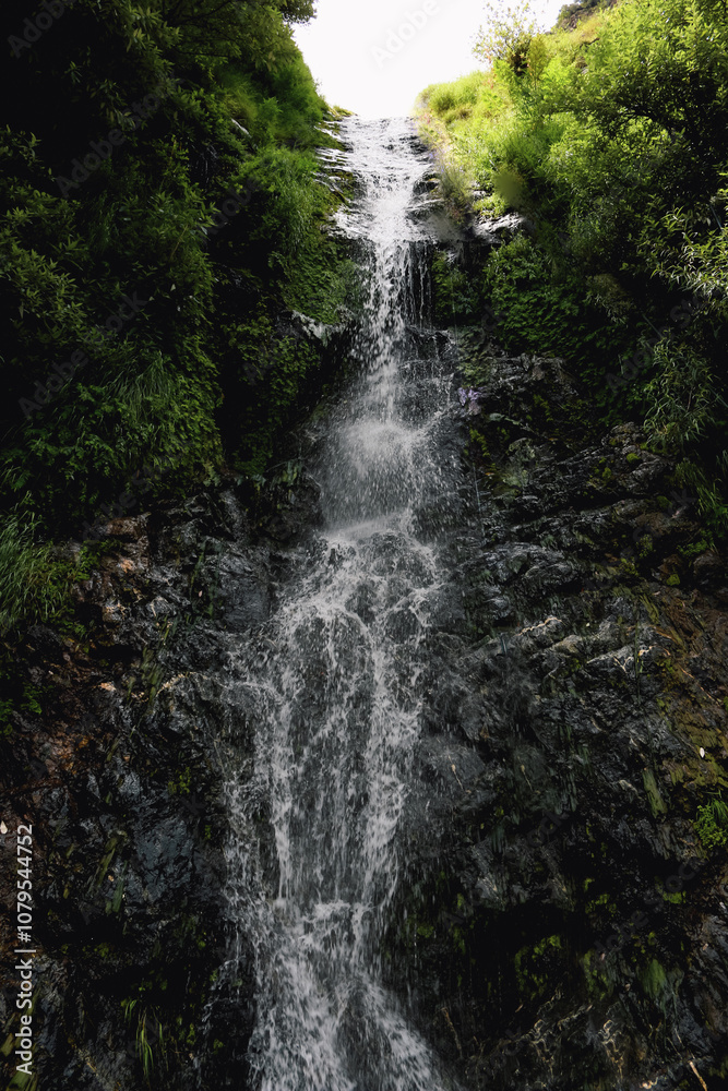 Cascading Waterfall Amidst Verdant Foliage Cascading Waterfall Amidst Verdant Foliage