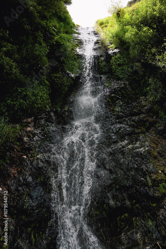 Cascading Waterfall Amidst Verdant Foliage