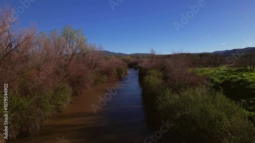 rio kerny az.