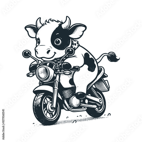 Cow riding a motorbike. Black white vector illustration.