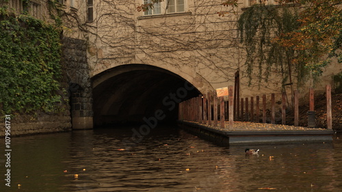 bridge over the river