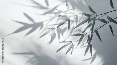 Abstract Shadow of Bamboo Leaves on White Background - Minimalist Nature Photography