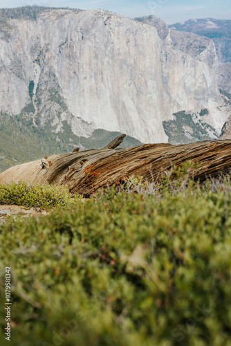 Fall in Yosemite