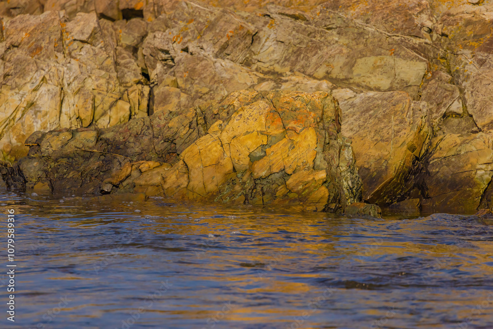 Colorful Rock In Brigus Newfoundland Colorful Rock In Brigus Newfoundland