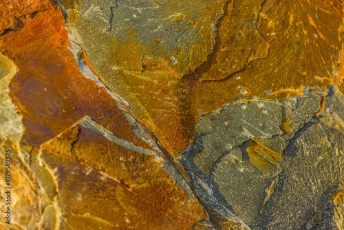 Rock On The Shores Of Brigus Newfoundland photo