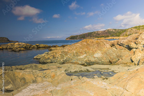 View From Brigus Newfoundland photo