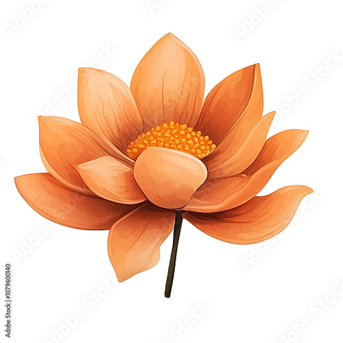 Orange lotus flower in full bloom, showcasing intricate petals and vibrant details over transparent background