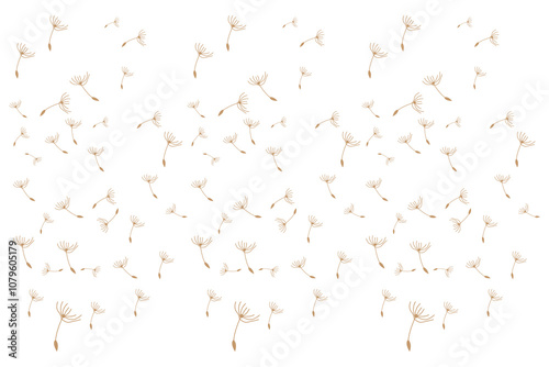 Dandelion Logo, Vector Plant Dandelion flower, Design Icon Template