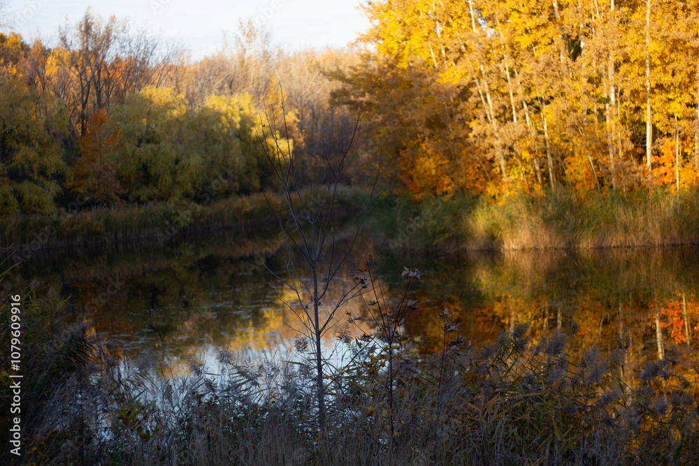 Autumn in the park Autumn in the park
