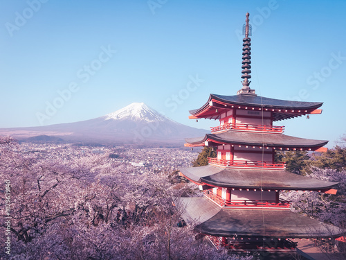 Mount Fuji and Chureito Pagoda in spring surrounded by cherry blossoms and with blue sky