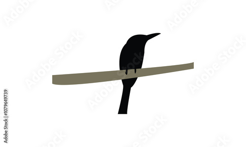 Green Bee Eater Silhouette Design  And Vector Illustration. 