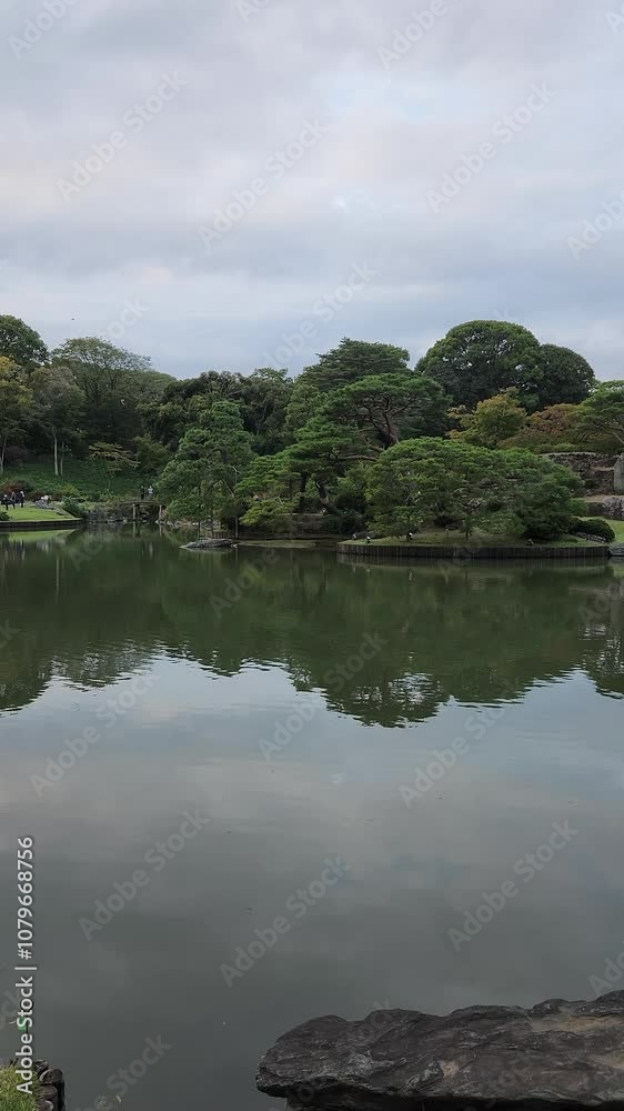 Pond in the Japanese garden reflecting trees Pond in the Japanese garden reflecting trees