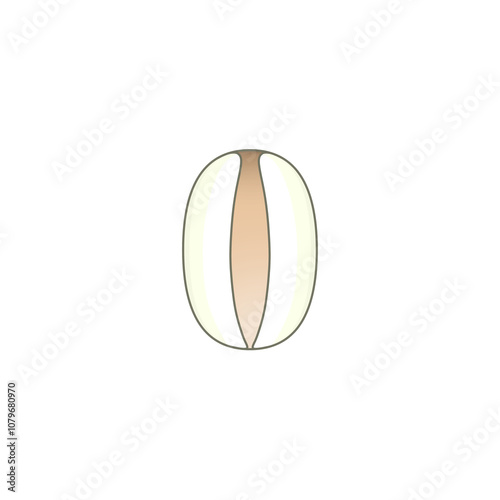 ハトムギの種子（ヨクイニン）