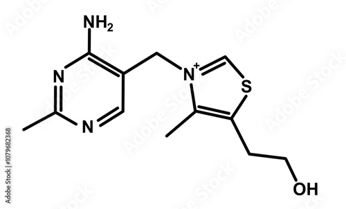 Chemical Structure of Thiamine Vitamin B1