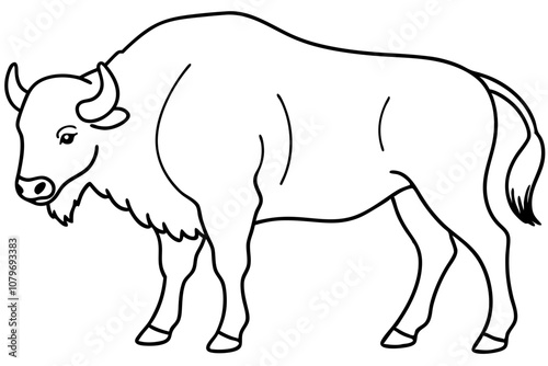 Bison | isolated vector illustration on white background