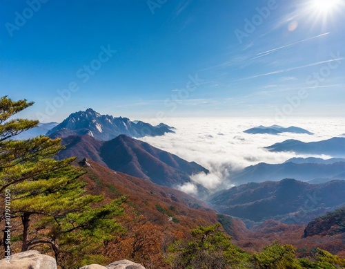 The Magnificent Seoraksan Mountain Peaks in South Korea, Rising Dramatically Above a Sea of Clouds, Surrounded by Autumn Foliage and Pine Trees in a Pristine National Park Setting photo