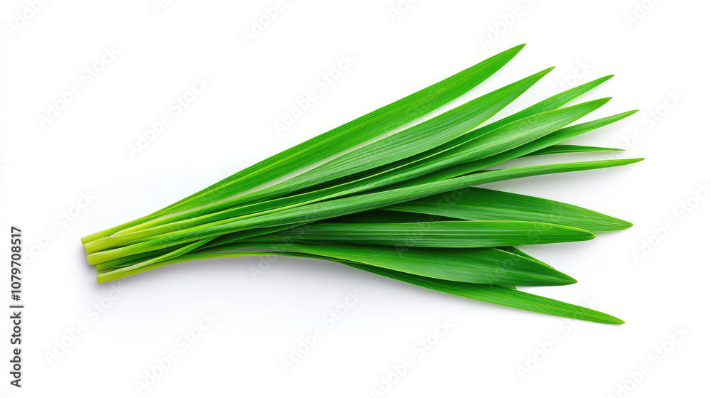 Fresh green onion bunch on a white background for culinary and health-themed projects. Fresh green onion bunch on a white background for culinary and health-themed projects.